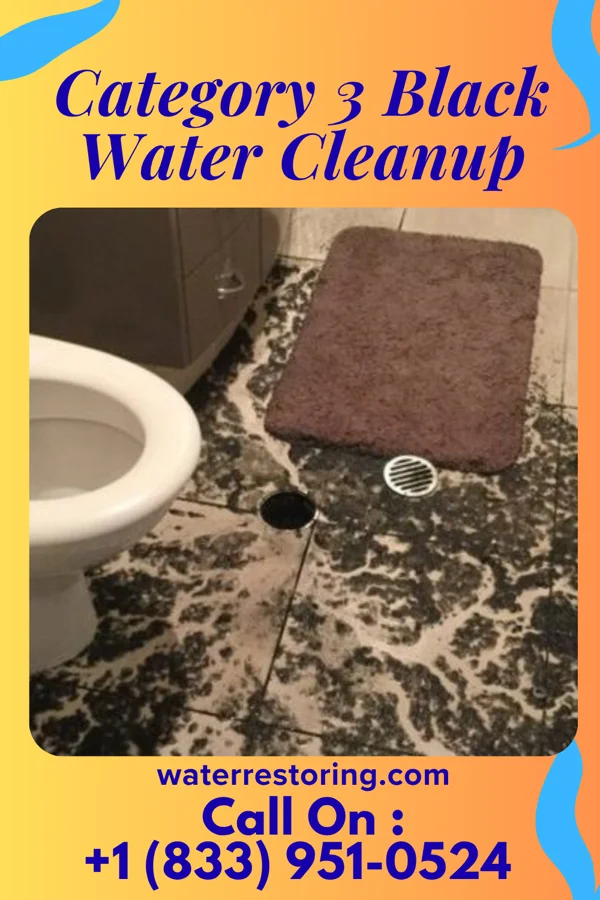 Category 3 Black Water Cleanup in Wallace, KS